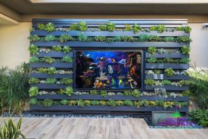 Living wall with succulents and waterfall with television