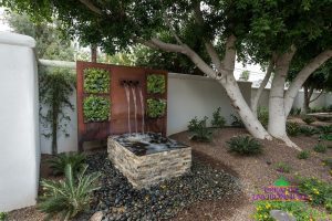 Custom landscaped backyard with desert plants, large tree, living plant wall and water feature