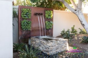 Custom landscaped backyard with desert plants, and living plant wall on wrought iron wall with water feature