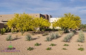 Custom outdoor landscape in Arizona showing a front yard desert landscape with rocks and plants and home