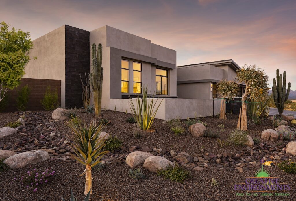 Custom front yard design with desert plants and up lighting.