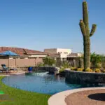 Custom backyard design with curved retention wall, cactus focal point and unique shaped pool.
