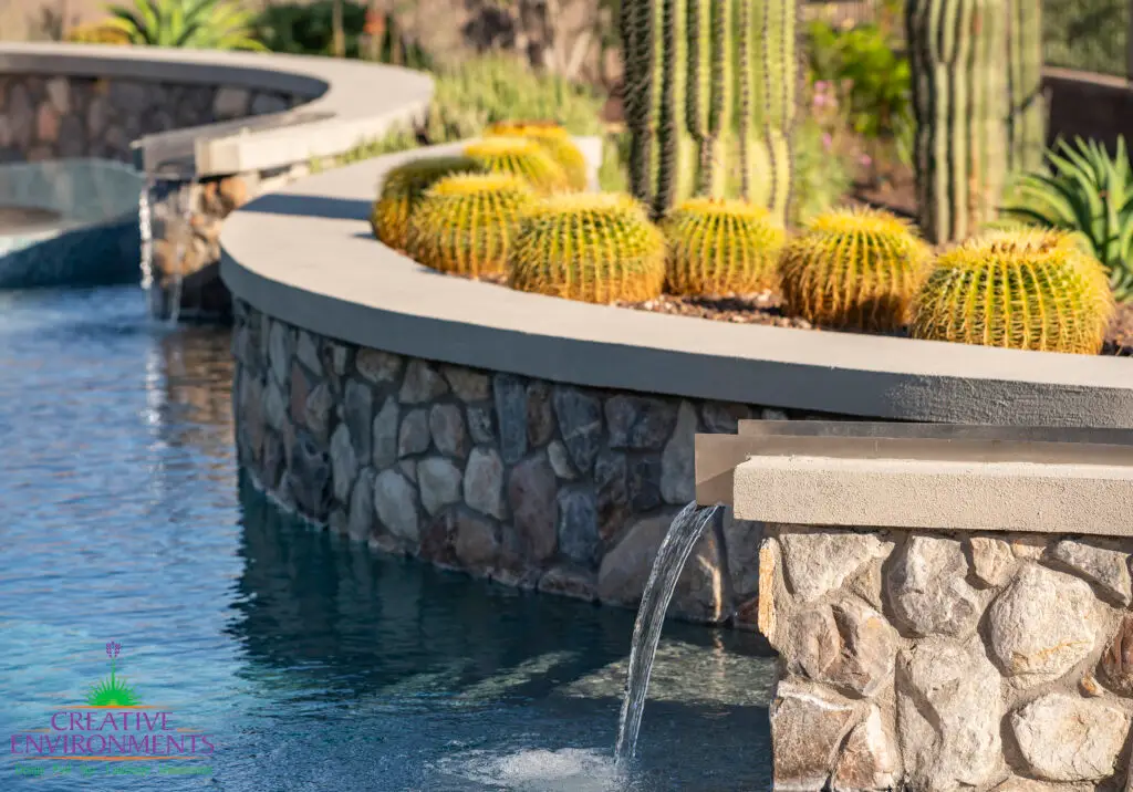Custom backyard design with curved pool, scupper water feature and cacti.