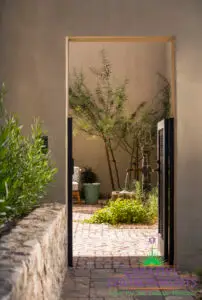 Backyard design with custom metal gate and desert plants.