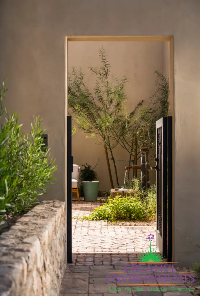 Backyard design with custom metal gate and desert plants.