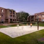 Custom community amenities with sport court lighting, volleyball court and real grass.