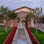 Custom community amenities with linear water feature, tree uplighting and organized planting.