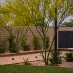 Custom backyard design with black water wall, bocce ball court and organized planting.