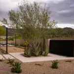 Custom backyard design with black water wall, organized planting and bocce ball court.