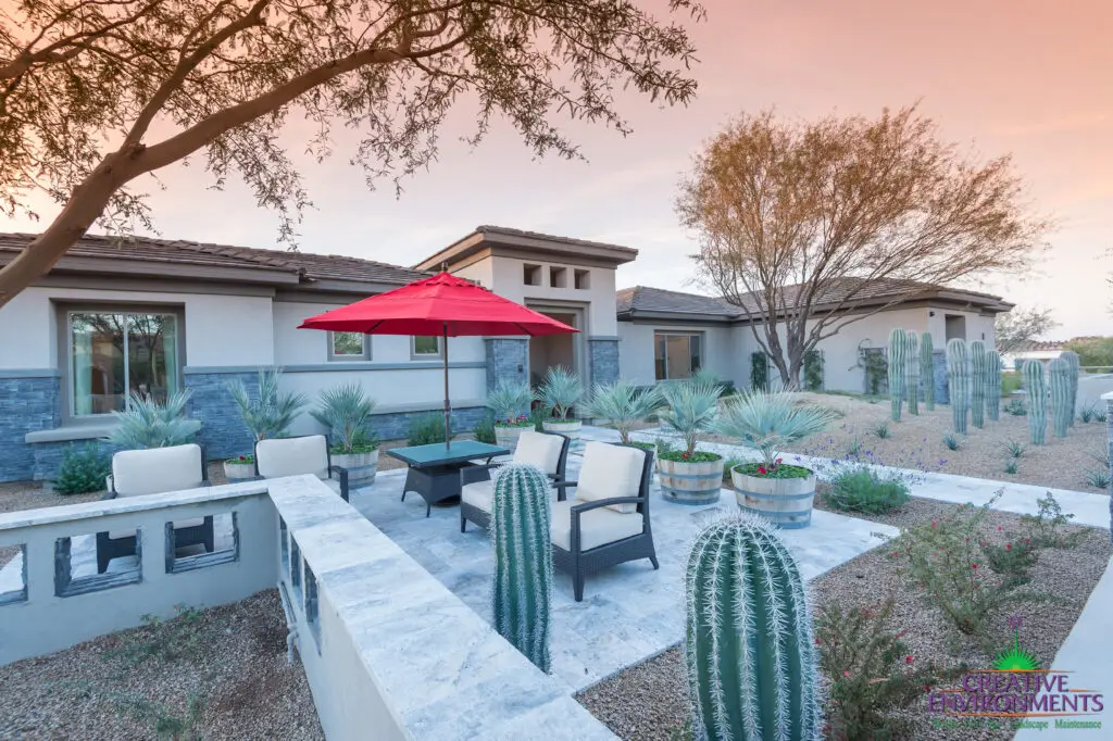 Custom backyard design with cacti, large planters and multiple seating areas.