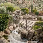 Backyard design with cacti, boulders and other desert plants.