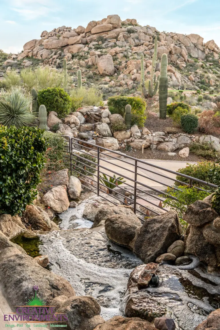 Backyard design with cacti, boulders and other desert plants.