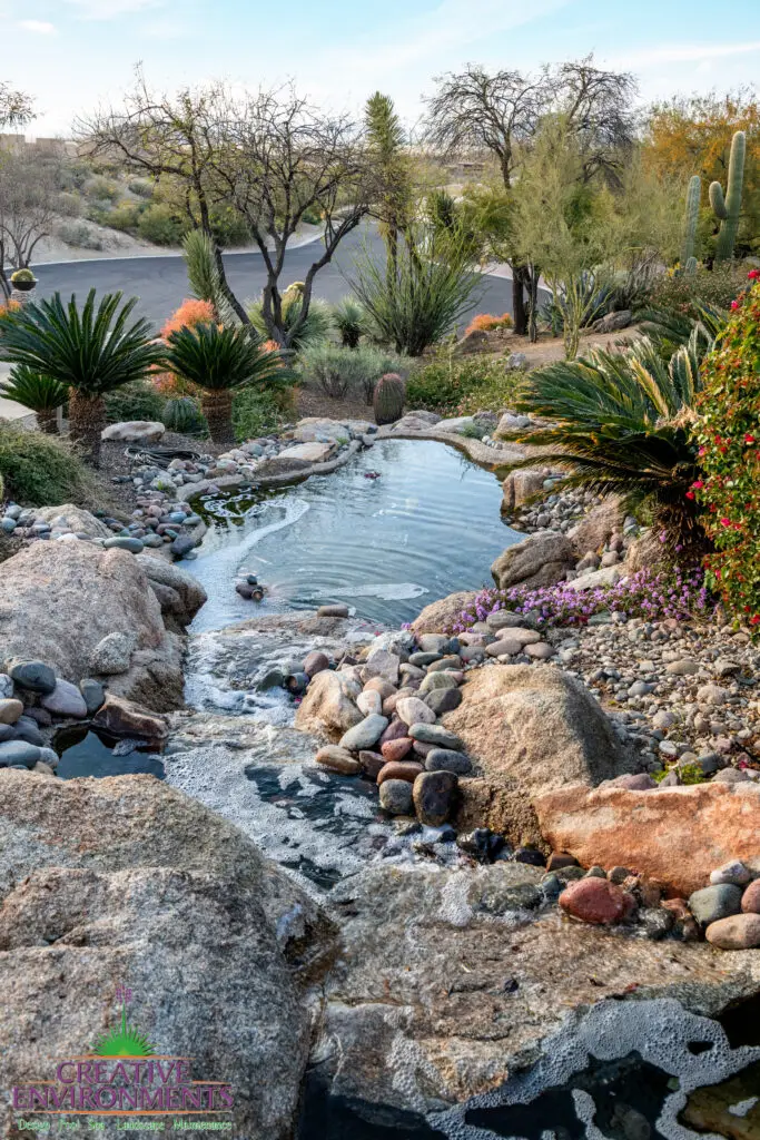 Front yard design with natural stone waterfall, trees and cacti