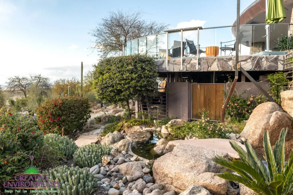 Backyard design with cacti, river rock and small pool of water.