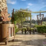 Backyard design with outdoor dining area and custom trellis.