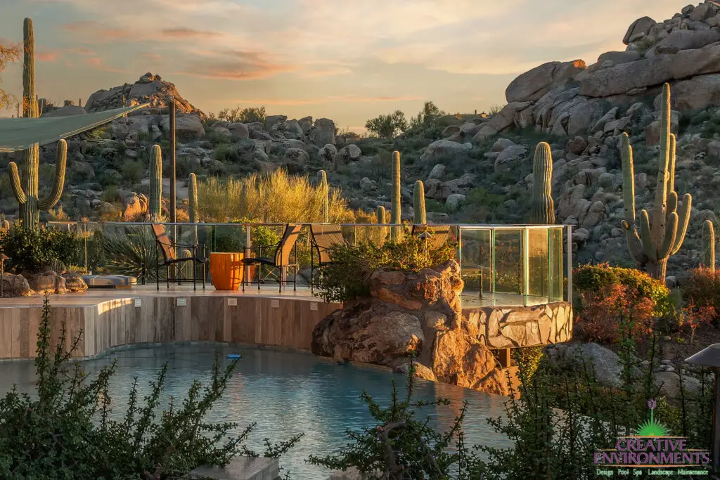 Backyard design with cacti and zero-edge pool