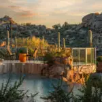 Backyard design with cacti and zero-edge pool