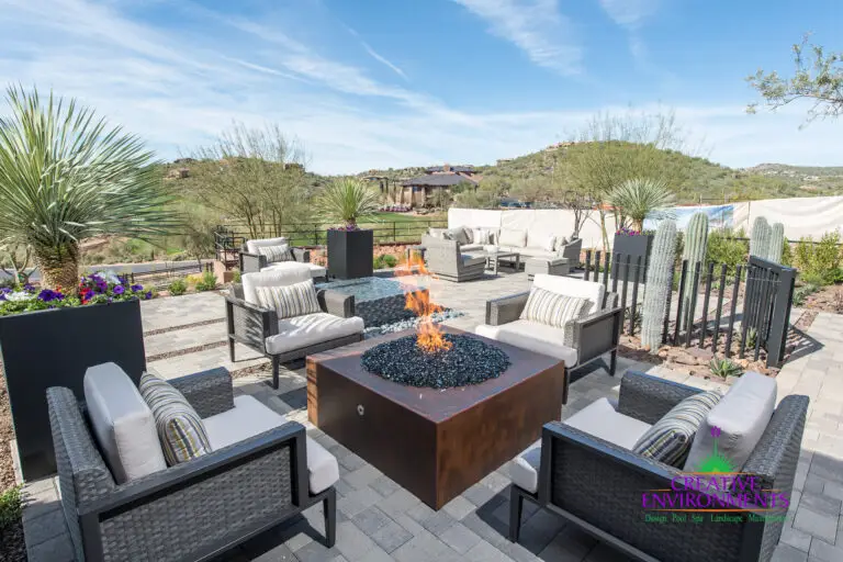 Backyard design with fire pit, cacti and palm trees.