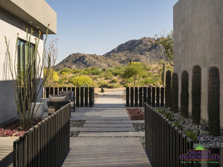 Custom front yard design with cacti, metal fencing and desert views.