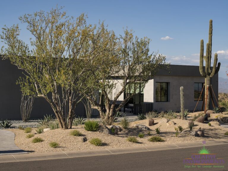 Custom front yard design with Saguaro, desert plants and brick paver walkway.