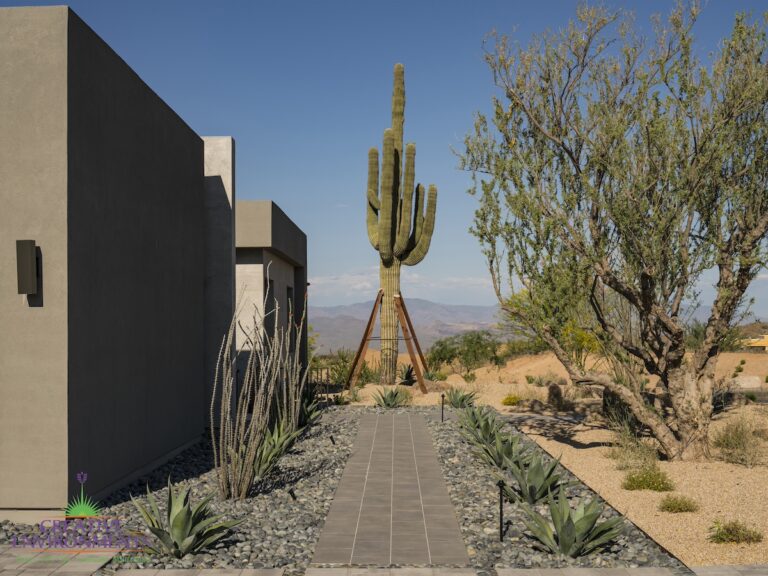 Custom front yard design with Saguaro, walkway and succulents.