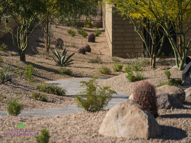 Custom backyard design with brick paver walkway, succulents and boulders.