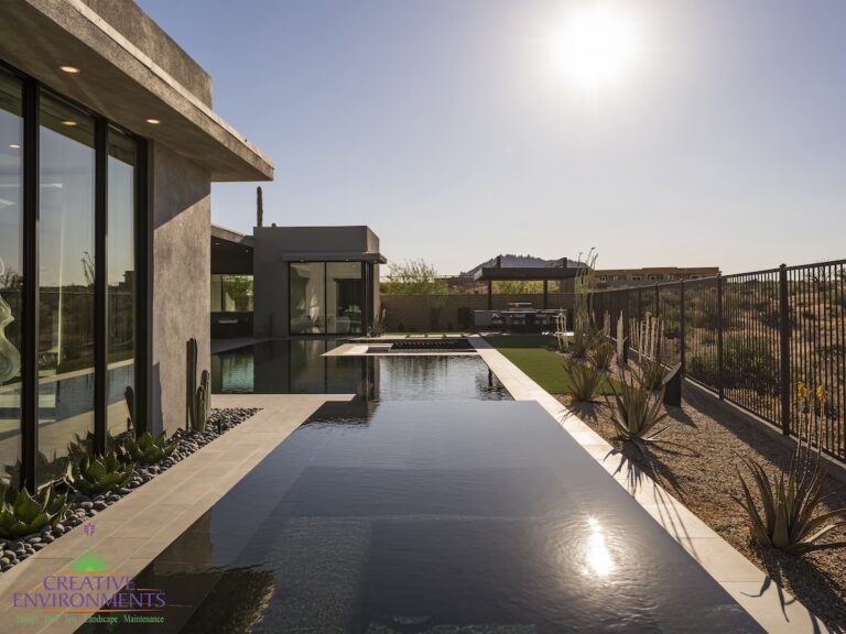 Custom backyard design with zero-edge pool, artificial turf and desert plants.