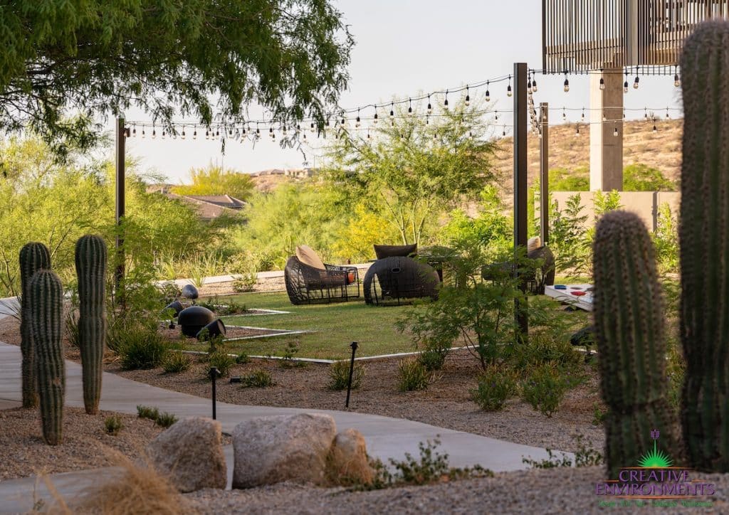 Custom commercial landscape design with multiple seating areas, string lights, cacti and boulders.