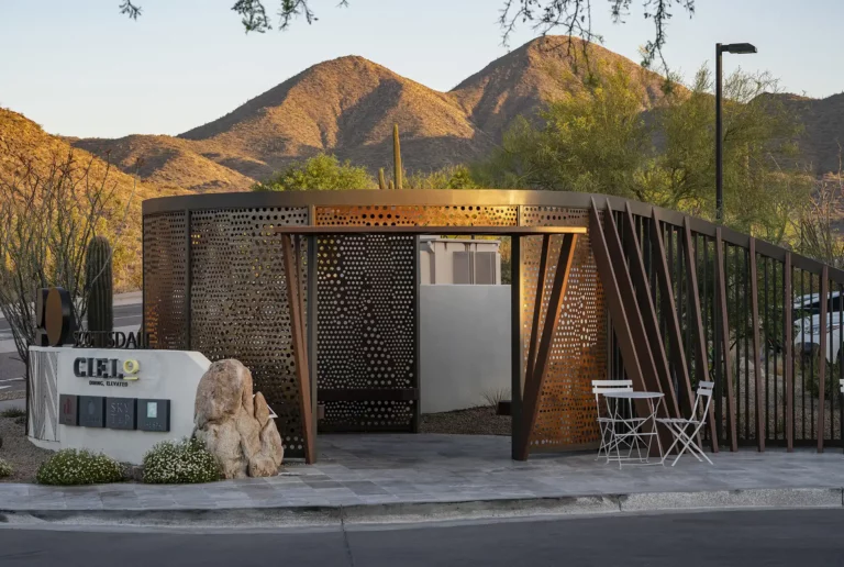 Adero-Scottsdale-Landscape-and-Pool-Design-Arizona-0092Rattlesnake