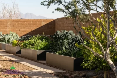 Custom backyard design with herb garden and metal planters.