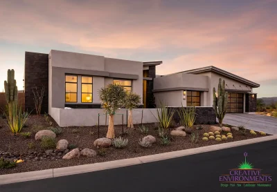 Custom front yard design with desert plants, boulders and up lighting.