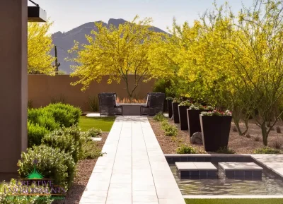 Custom backyard design with trees, large metal planters and Jesus steps.