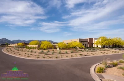 Custom desert landscape design with organized planting and trees.