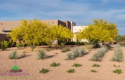 Custom front yard design with organized planting and trees.