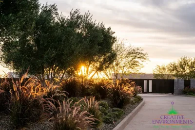 Custom community entrance with metal entrance gate, organized planting and desert contemporary vibes.