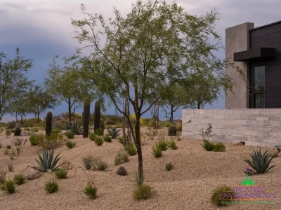 Custom front yard design with privacy wall, organized planting and trees.