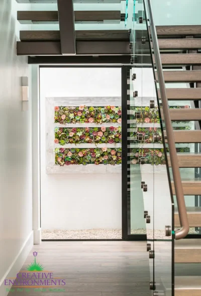 Custom succulent living wall focal point.