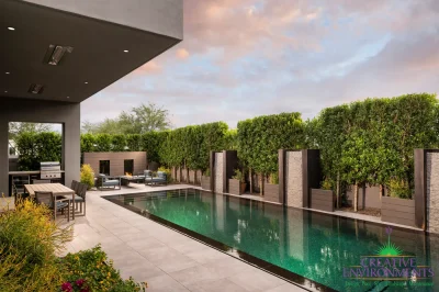 Custom backyard design with black pool, water columns and privacy hedges.