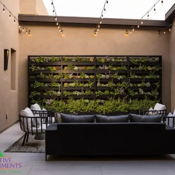 Custom courtyard design with succulent living wall, string lights and outdoor seating area.