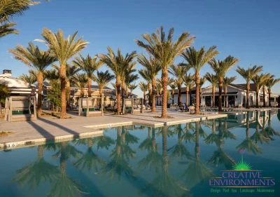 Custom community amenities with large, custom community pool, palm trees and cabanas.