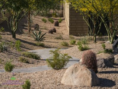 Custom backyard design with brick paver walkway, succulents and boulders.